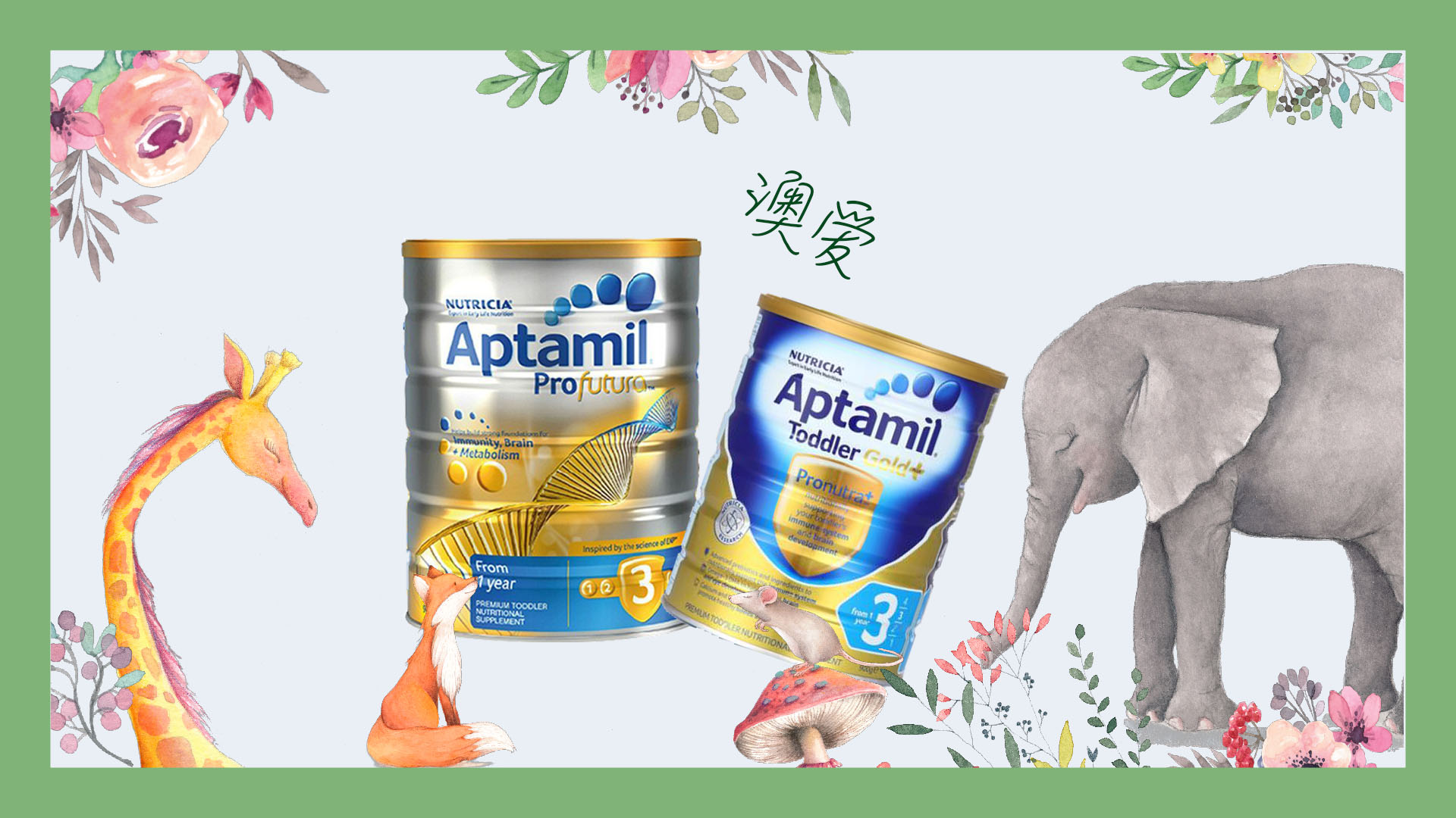 澳洲爱他美金版三段奶粉测评,奶粉爱他美澳洲金装四段多少钱