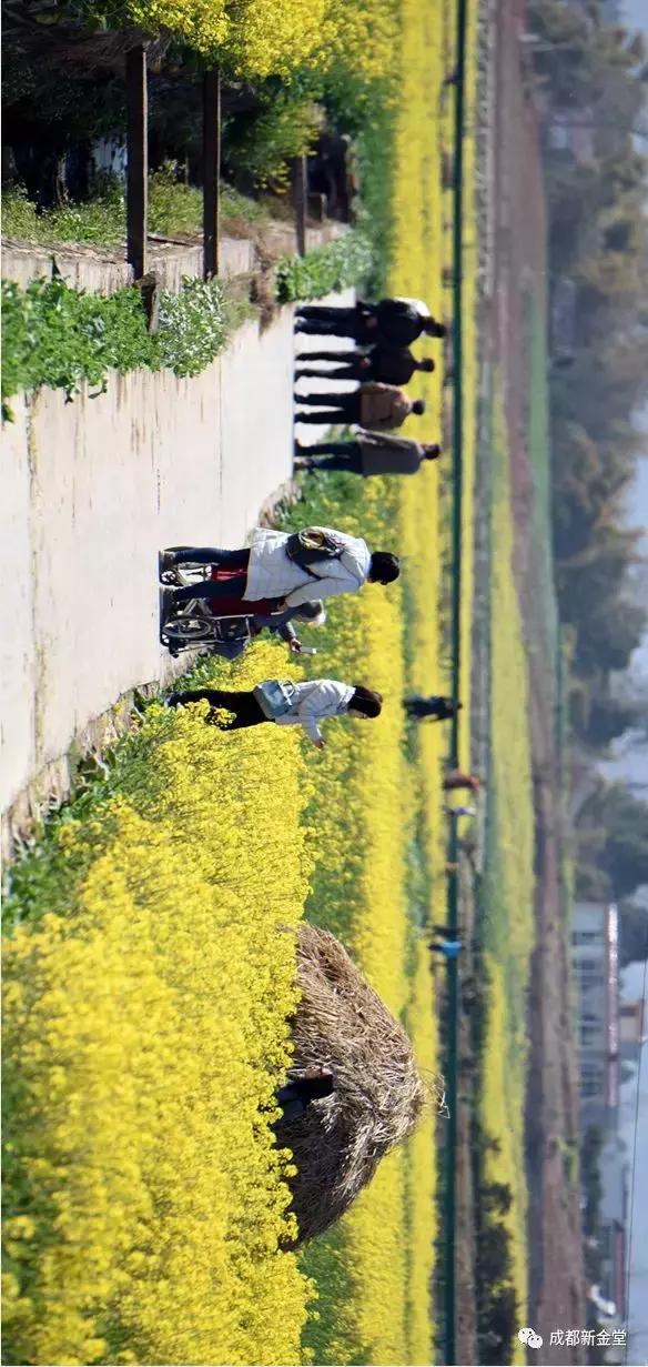 成都小众网红打卡地,成都最值得去的小众打卡地