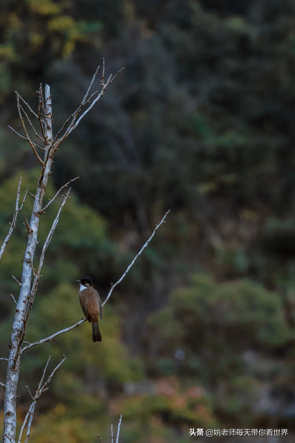 浙西低调山水小城，入选2021全球最佳旅行地邂逅早春一方秘境