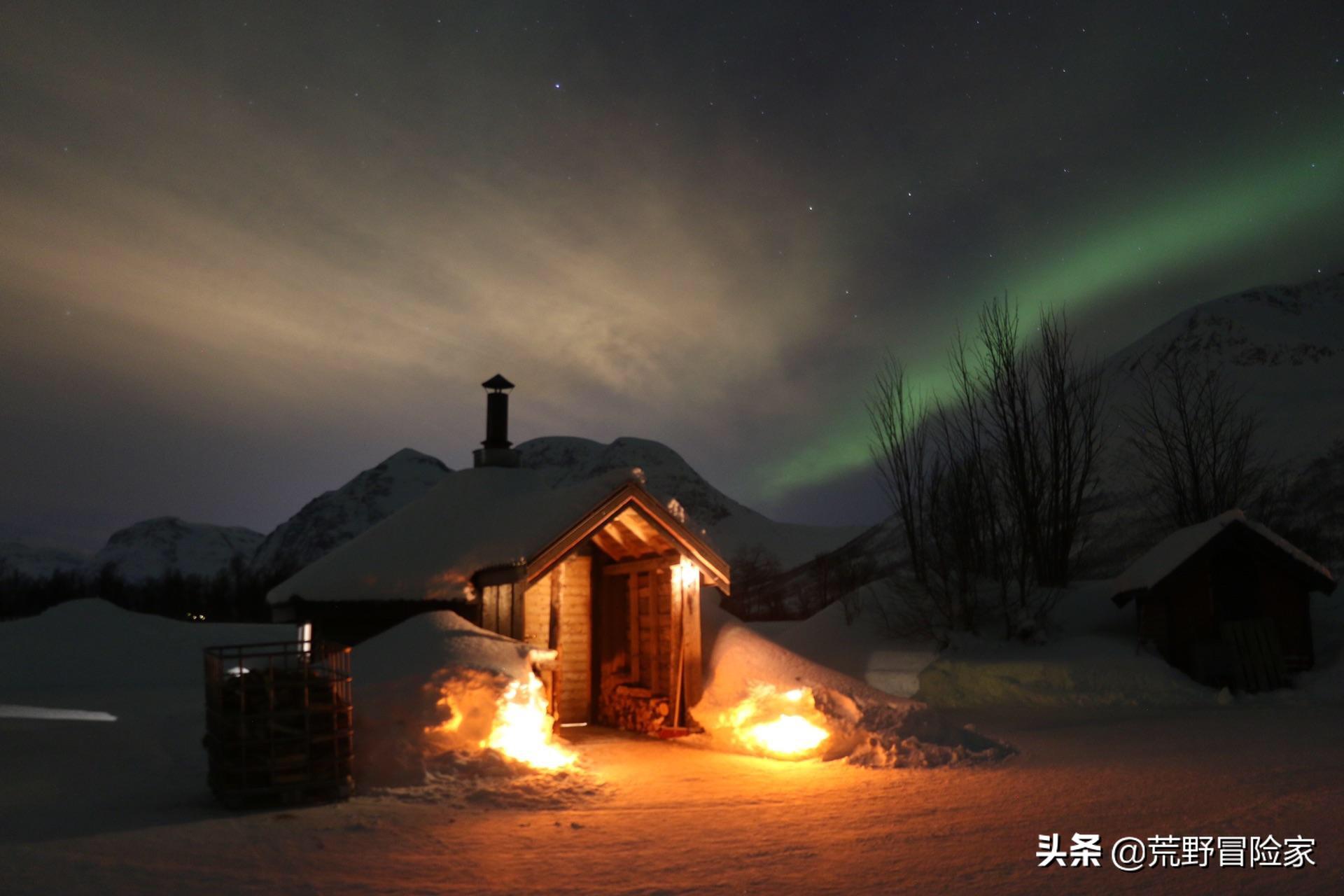 挪威北极鳕鱼和南极鳕鱼的区别,去挪威旅游吃海鲜