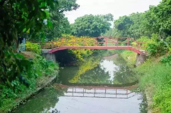 广州地铁旅游打卡攻略,广州适合春游的免费景点