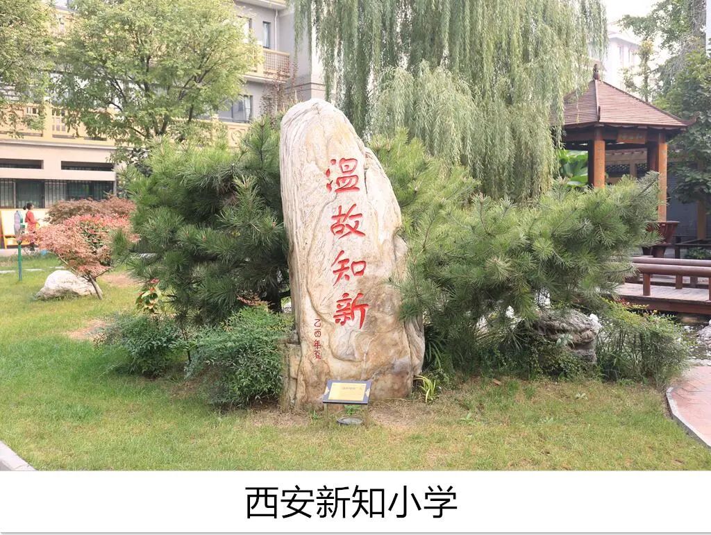 新知小学西安,西安新知小学最新消息