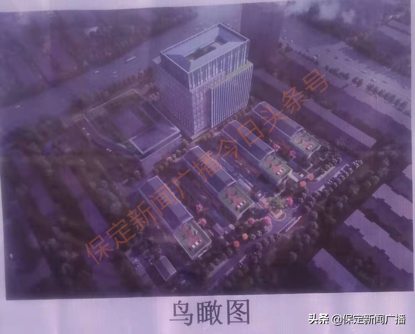 保定地毯有限公司,保定科智工坊