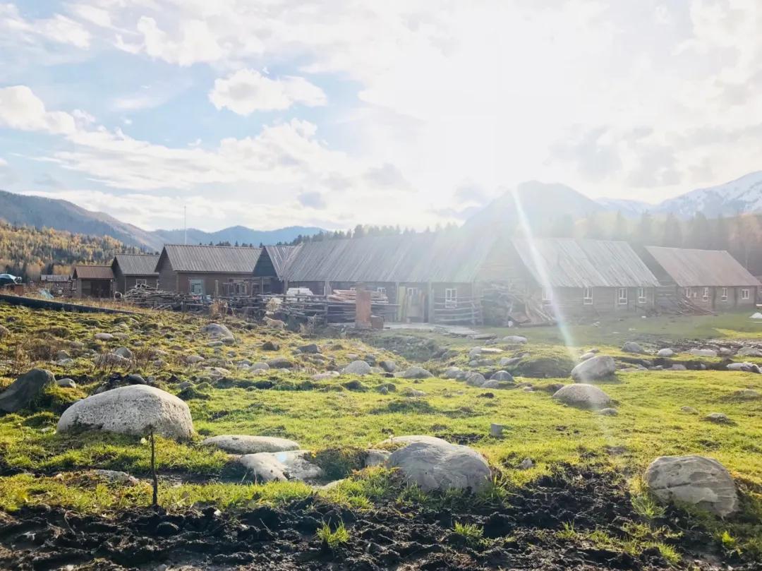 陕西一村一品补贴方案,一村一品补贴名单