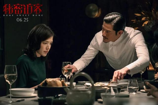 秘密访客是啥,秘密访客高清免费观看