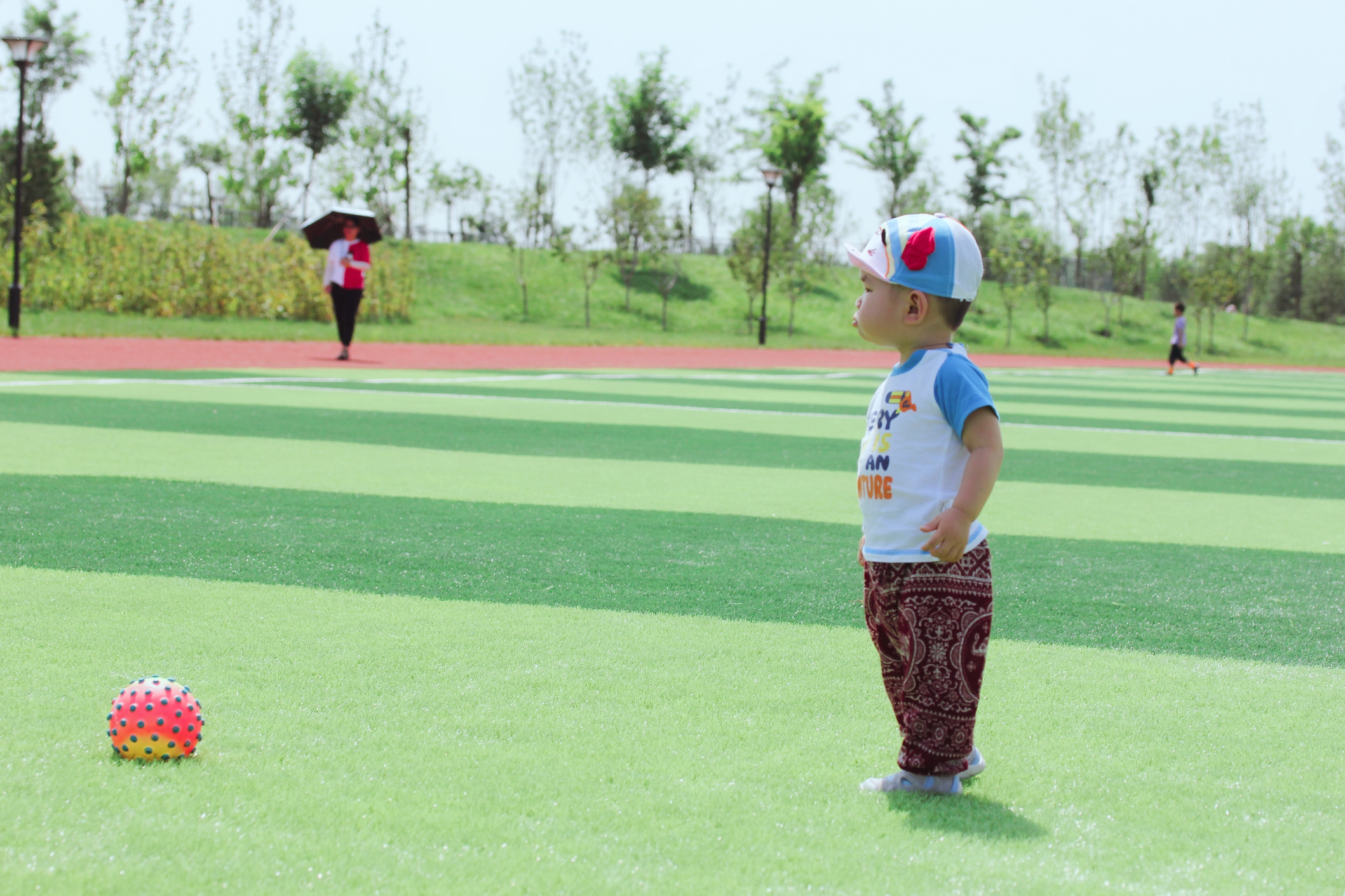 北京有哪些公园有足球场,北京超大绝美花海在哪儿