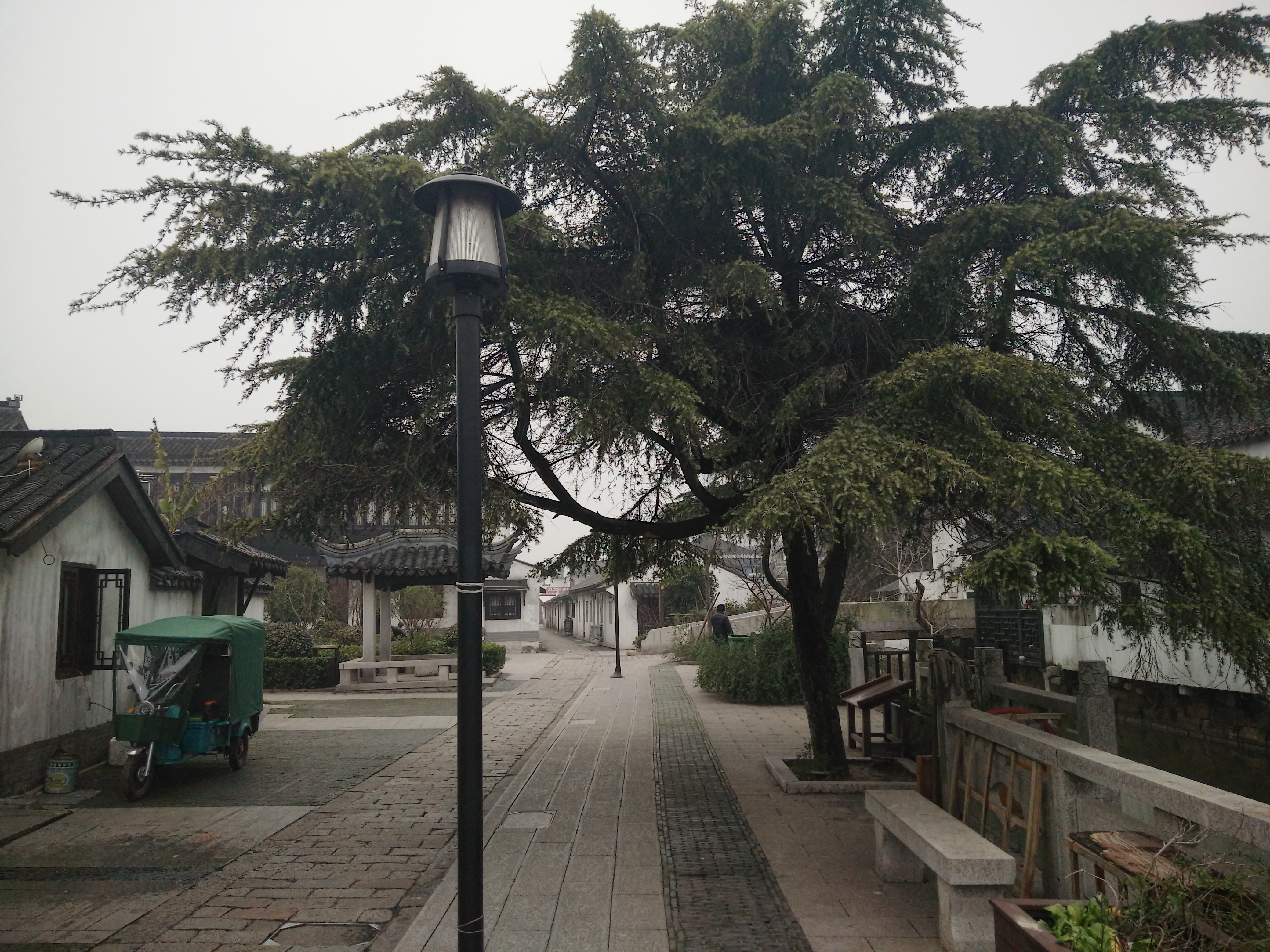 万里长江第一湾简介,万里长江第一湾是哪里