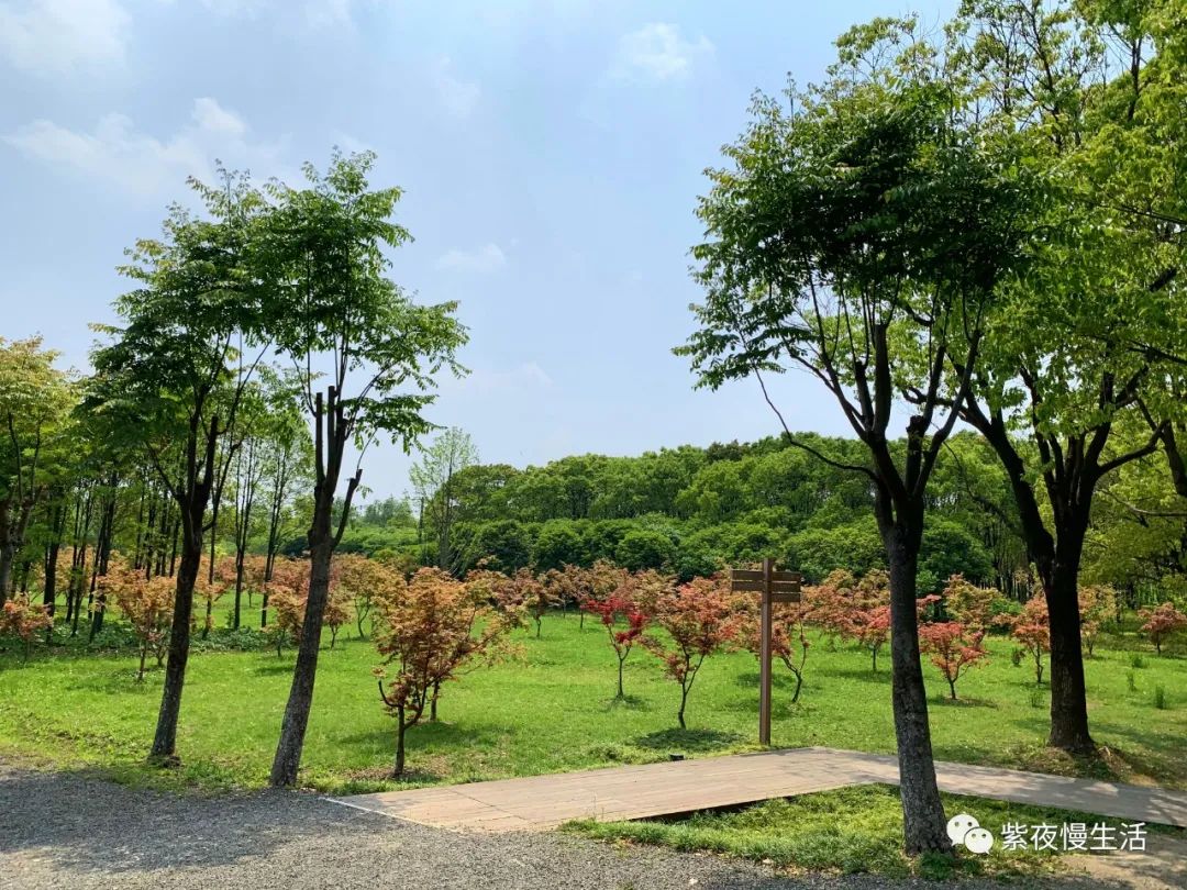 慢生活惬意悠闲,悠闲惬意上海