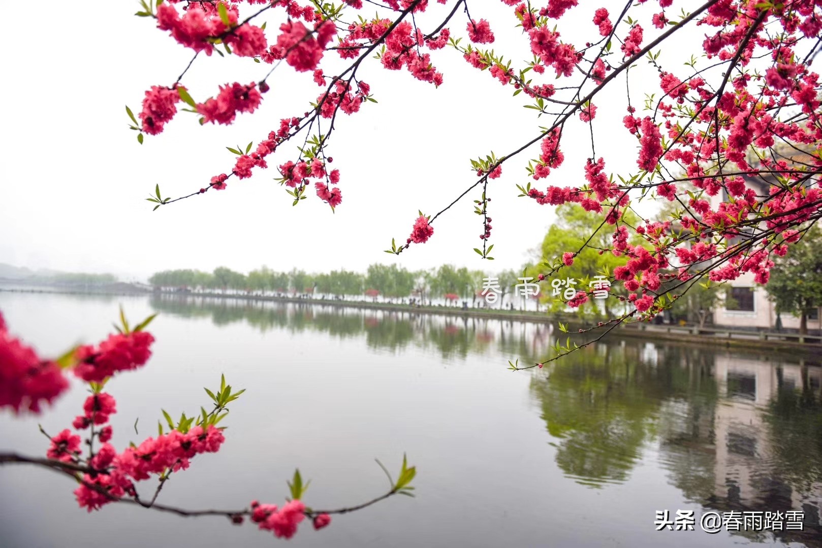 西湖十景苏堤春晓,西湖十景最美的是哪个