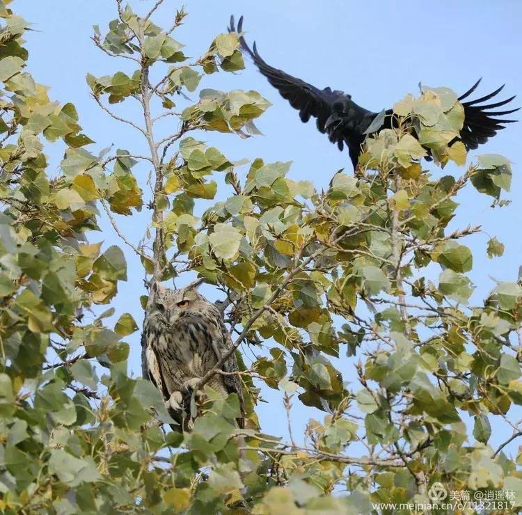 天坛最近发生什么事,北京天坛现在的状况