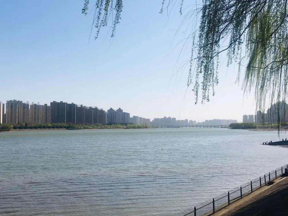 中南广场二期十号楼,中南广场两梯