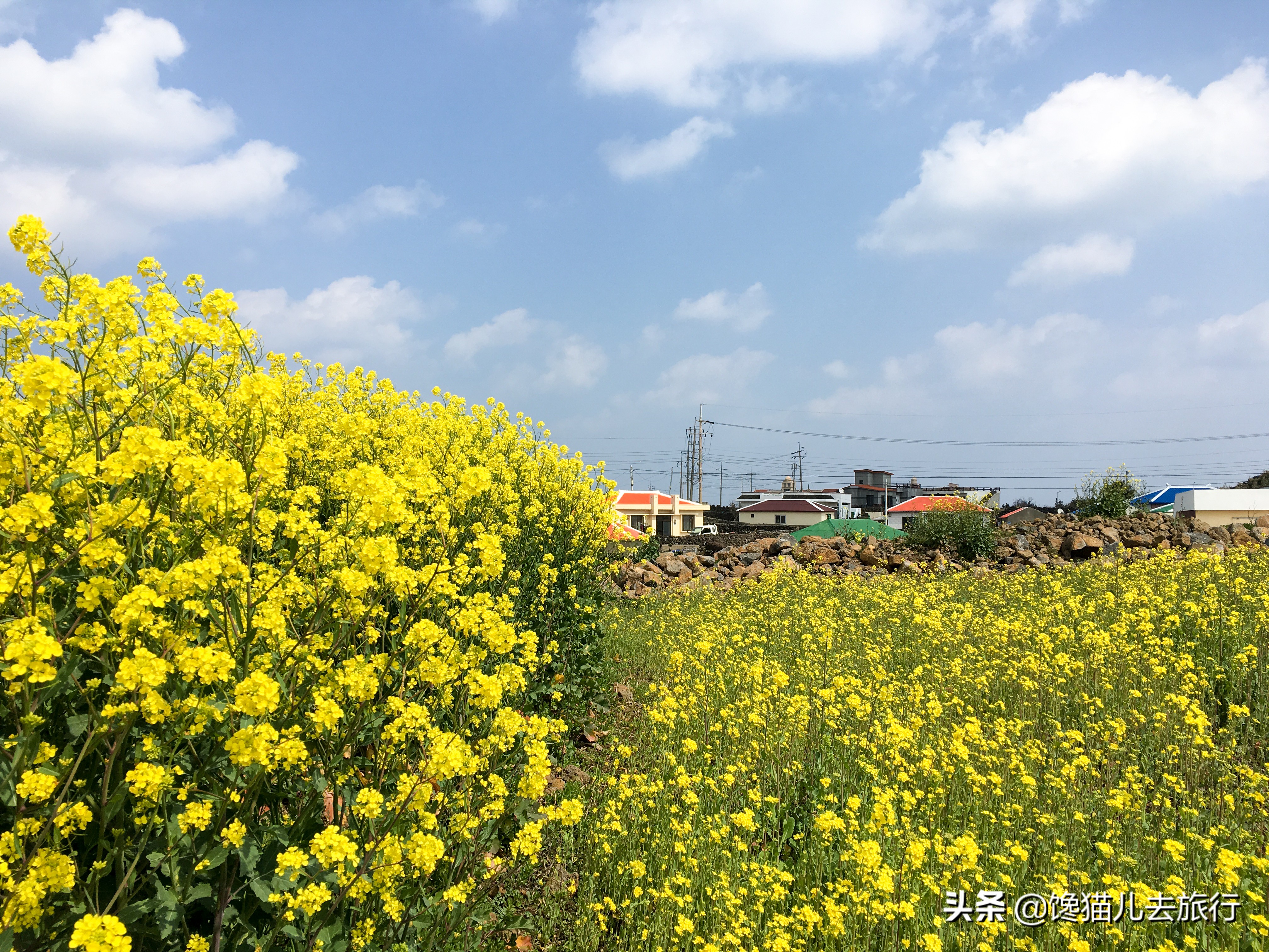 韩国旅游汗蒸馆,韩国汗蒸馆实拍