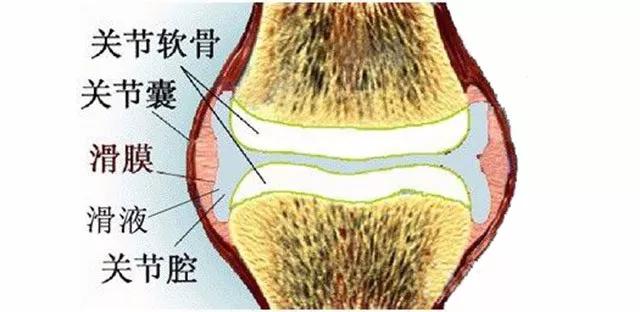 滑膜炎怎么贴黑膏药视频,滑膜炎通俗讲是什么