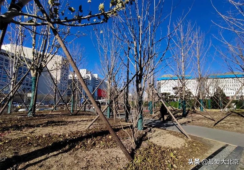 西单商场历史,西单商场撤店清货