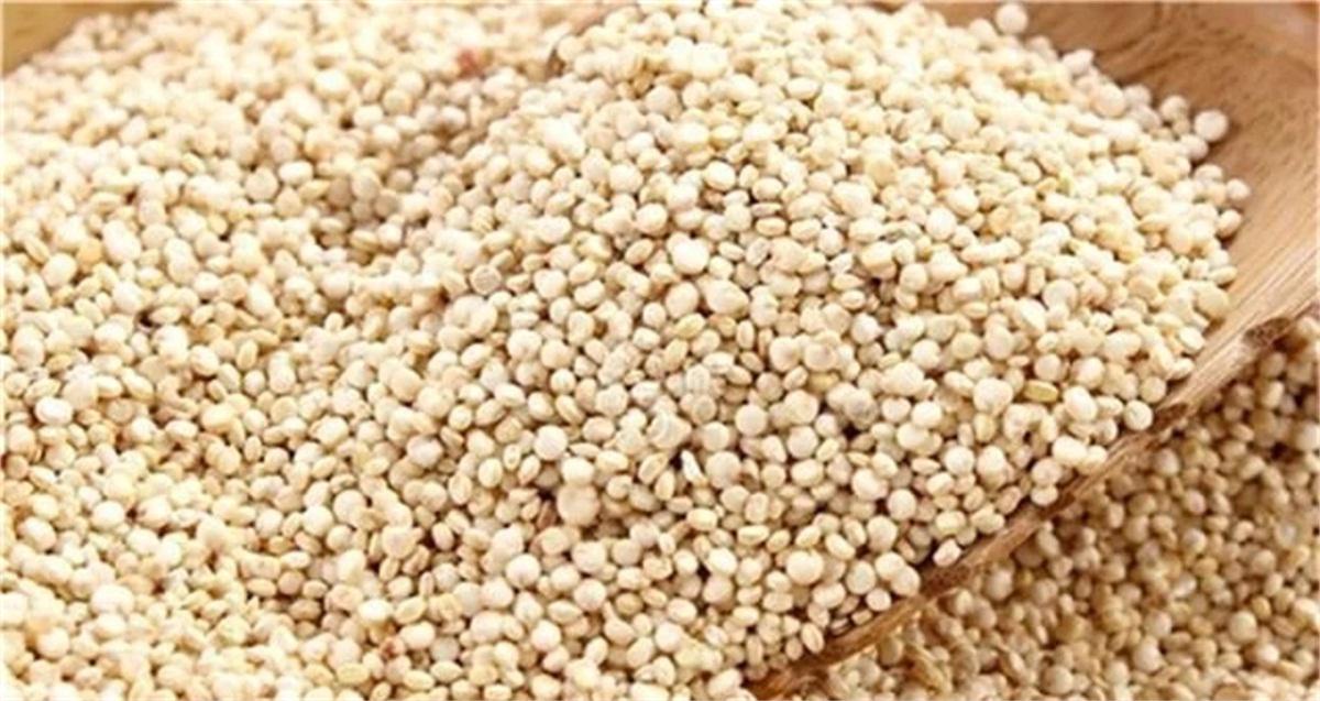 酿酒设备怎样酿造养生酒,口感最好的酿酒工艺设备