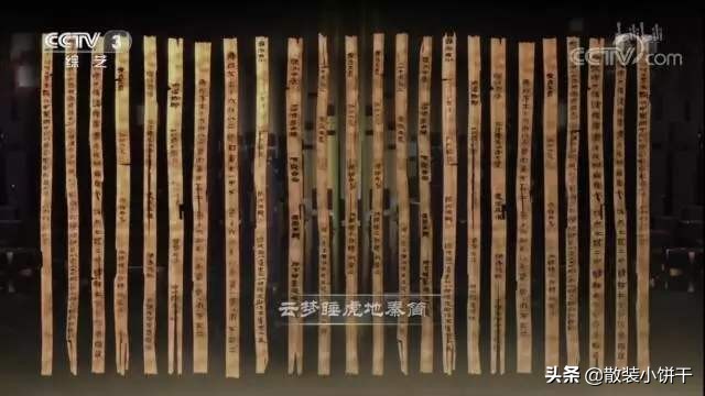 终随松柏到冰霜,终随松柏到冰霜完整版