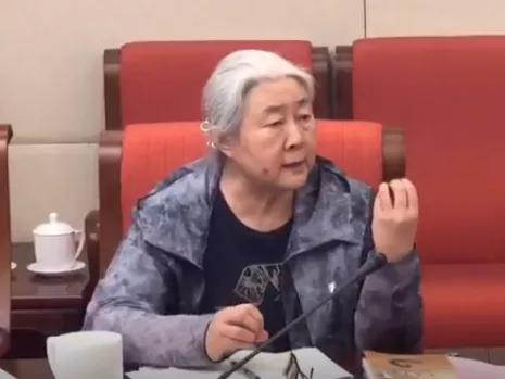 中医药文化海外传播,海外中医药发展研讨会