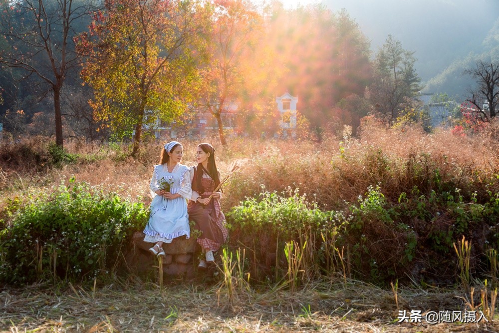 寻秋摄影之旅,寻秋诗句