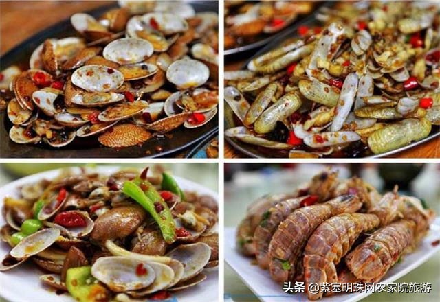 日照直播,日照索隆