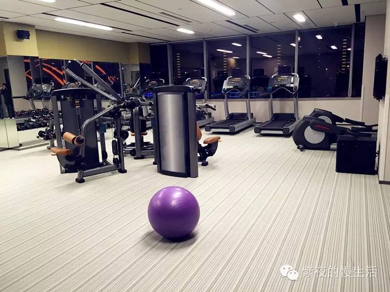 苏州带宠物去的古镇,苏州小众宠物乐园推荐