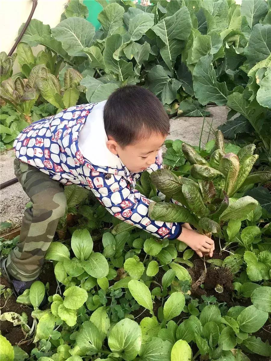 特色幼儿园活动区,高端幼儿园特色活动