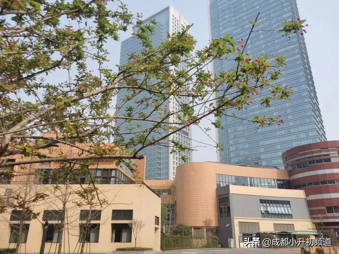 成都即将更名的学校,好消息成都一大波新学校来了