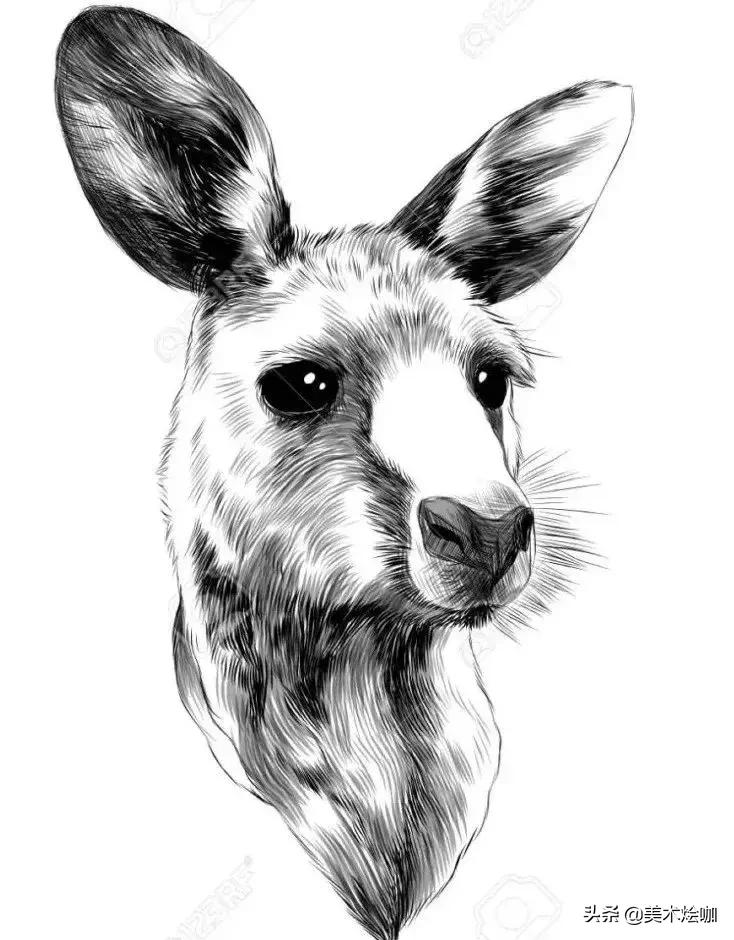 6-12岁儿童素描课程画动物,素描动物教程简单8-12岁