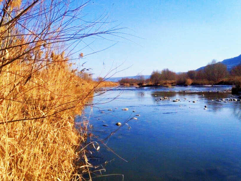 西安最新湿地公园,西安国家湿地公园