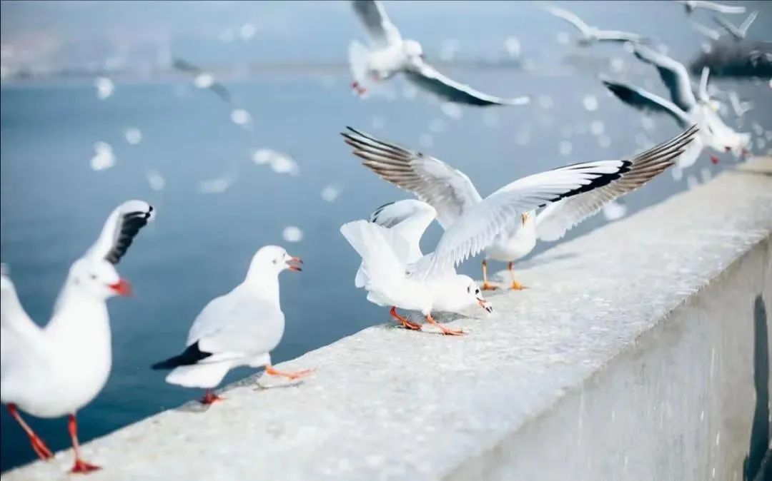 最近昆明有没有最值得去玩景点,推荐昆明最适合去玩的地方