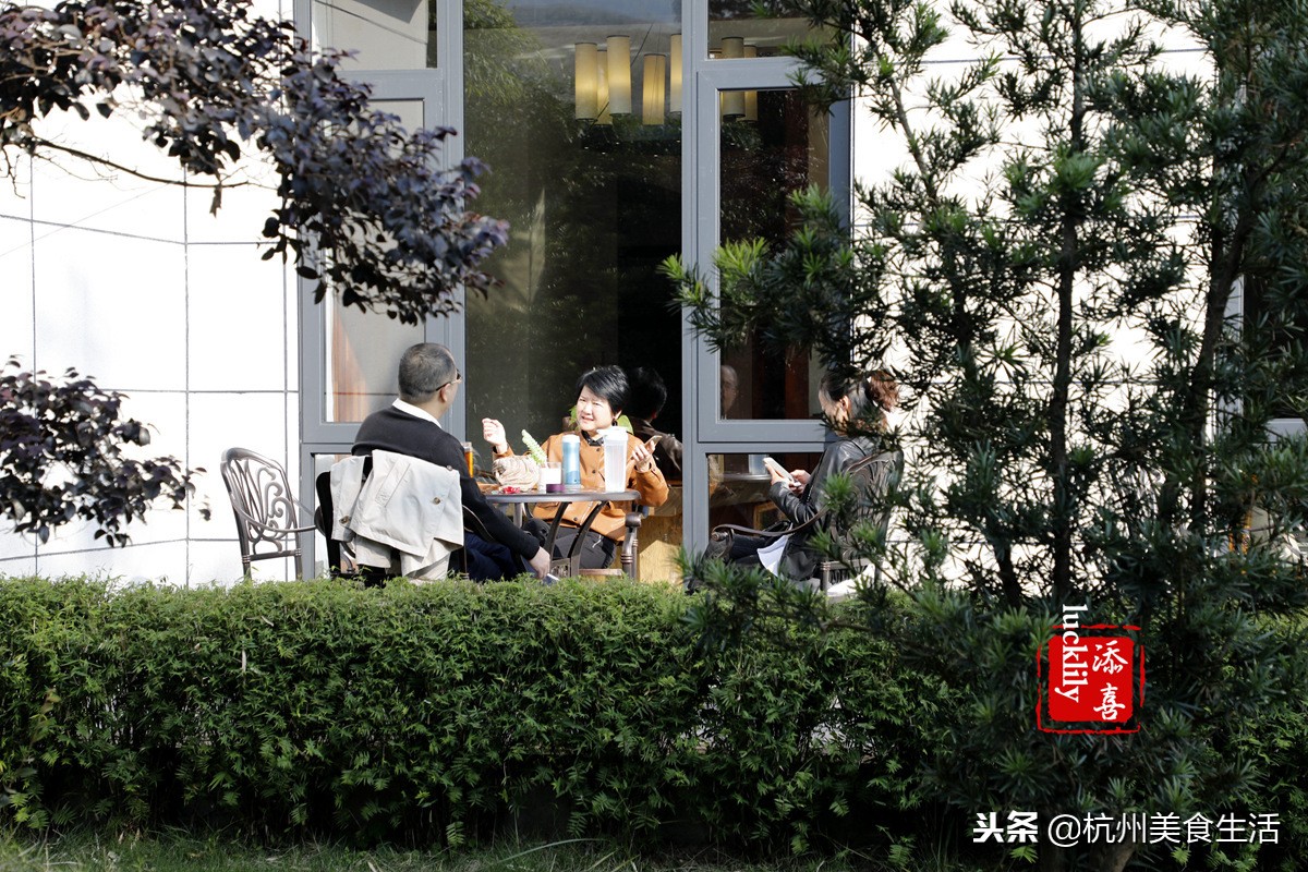 「杭州美食生活」径山淡竹元民宿，享受禅茶竹韵慢生活