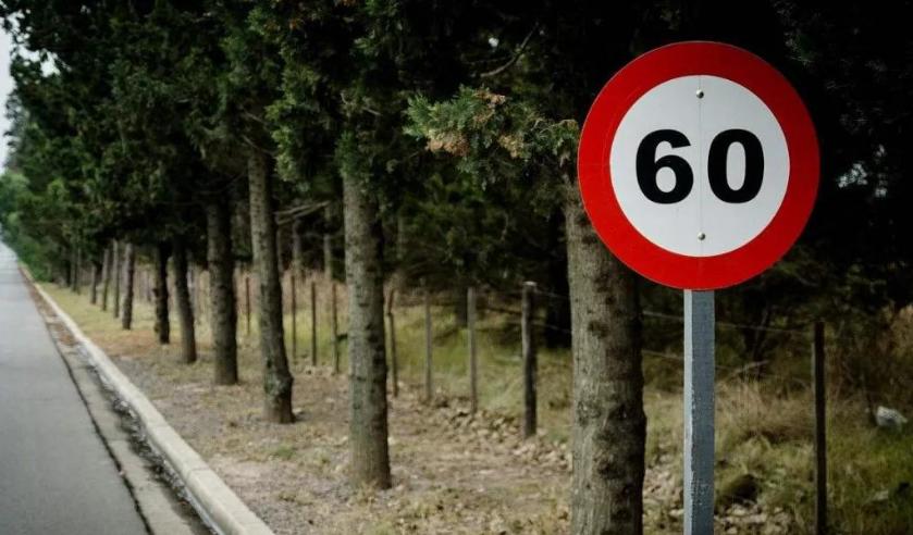 高速限速超速20免罚会不会罚钱,高速限速80超速违章怎么免罚