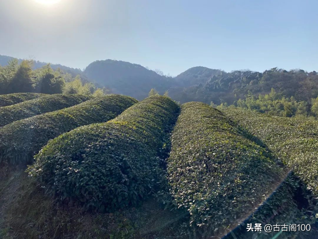 绍兴坡塘：范蠡商经发祥地 山阴道上画中游