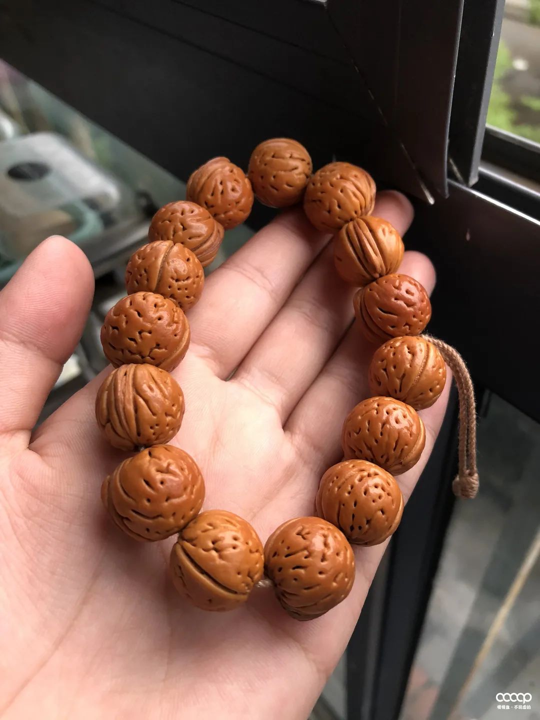 有毒！又一位宝藏小姐姐，玩核桃最爱“马虎”，朋友眼里是奇葩