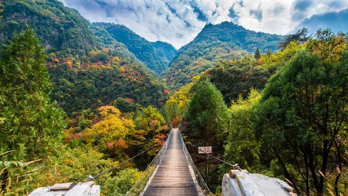 西安自驾秦岭秋色最好的地方,西安自驾一日游的绝佳去处秦岭