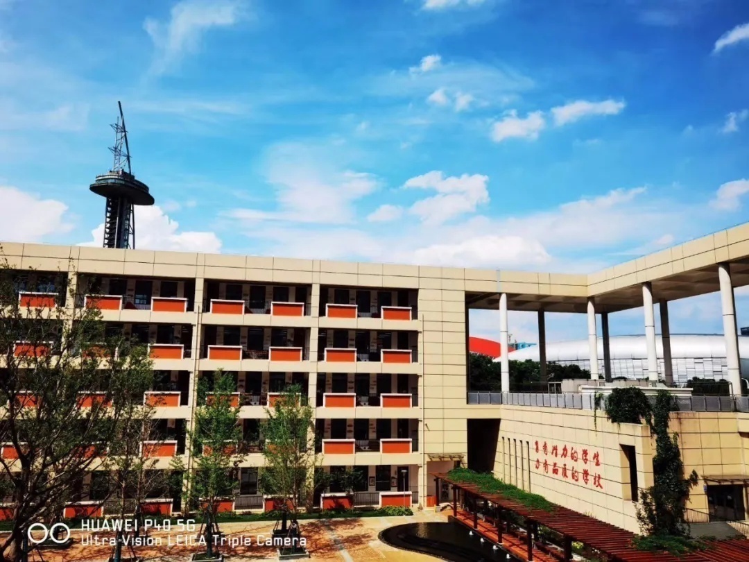 南京河西致远初级中学和河西南外,河西致远中学