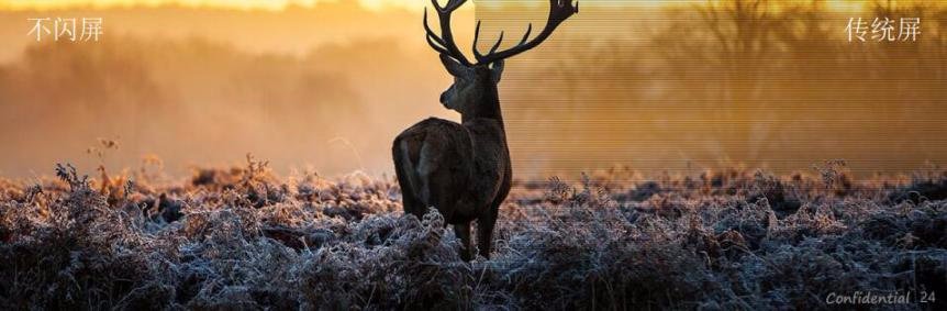 pa248qv开箱,pa248qv显示器评测