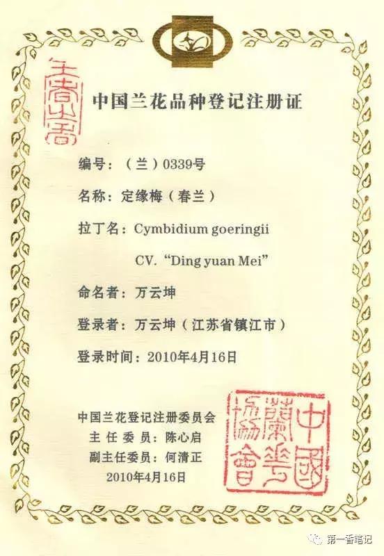 [花开欣赏]0228：高抗性的春兰“定缘梅”经典呈现