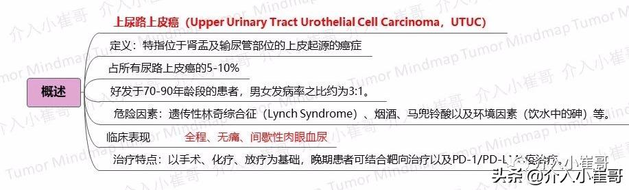 肿瘤护理思维导图,肿瘤免疫思维导图