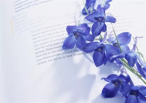 花语大全：各种鲜花的花语，不同颜色寓意也不一样啊