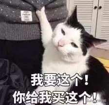 山下智久最新官方消息,山下智久最新近况