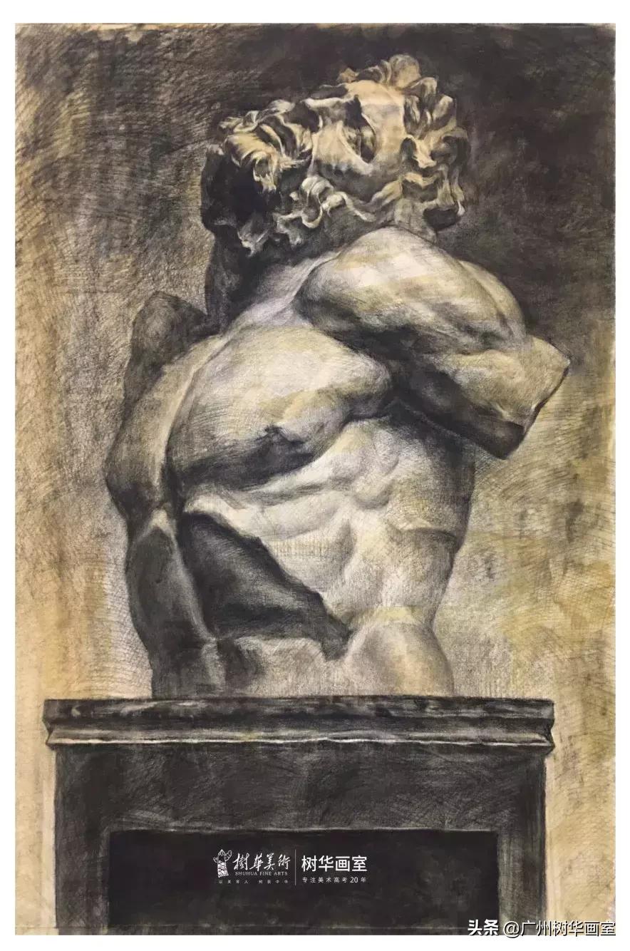 石膏头像大卫素描教程步骤,素描石膏鼻子的步骤入门