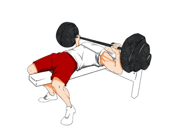 杠铃卧推练胸的动作,杠铃卧推锻炼胸肌的最佳方法
