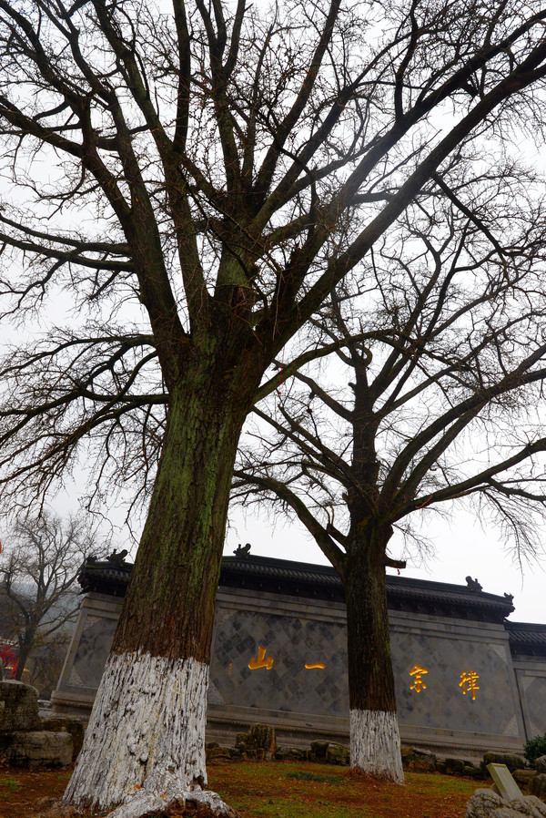 律宗祖庭隆昌寺,隆昌寺是律宗第一寺