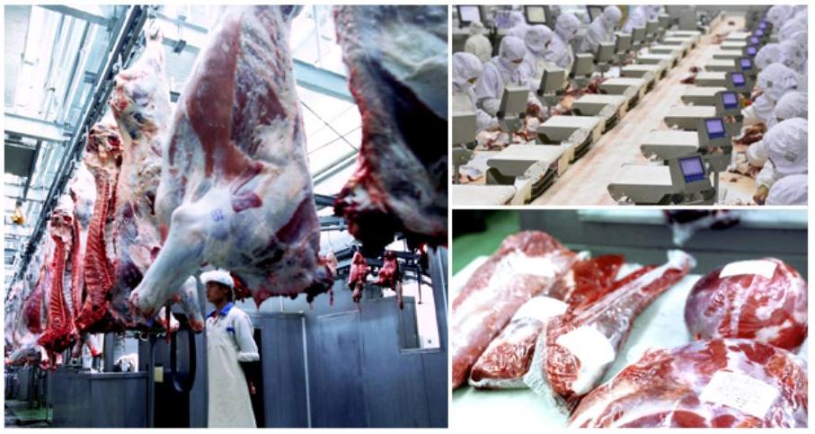 0经验，一站式加盟扶持！牛当道真牛