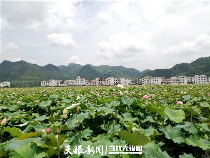 平塘风景好吗,平塘美景