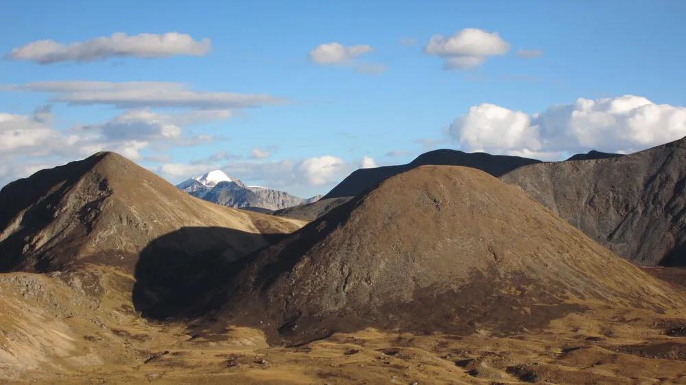 物种起源达尔文,物种起源讲解