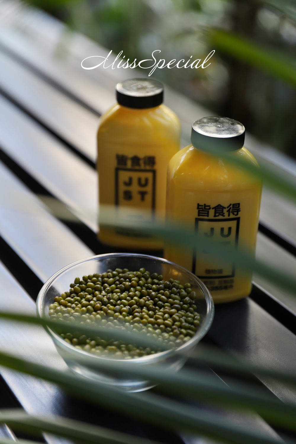 植物种出来的鸡蛋,植物蛋