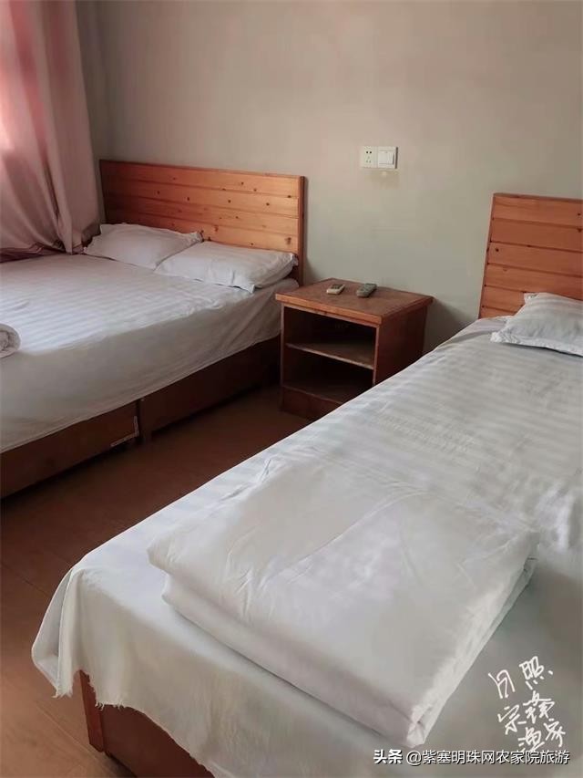 日照直播,日照索隆