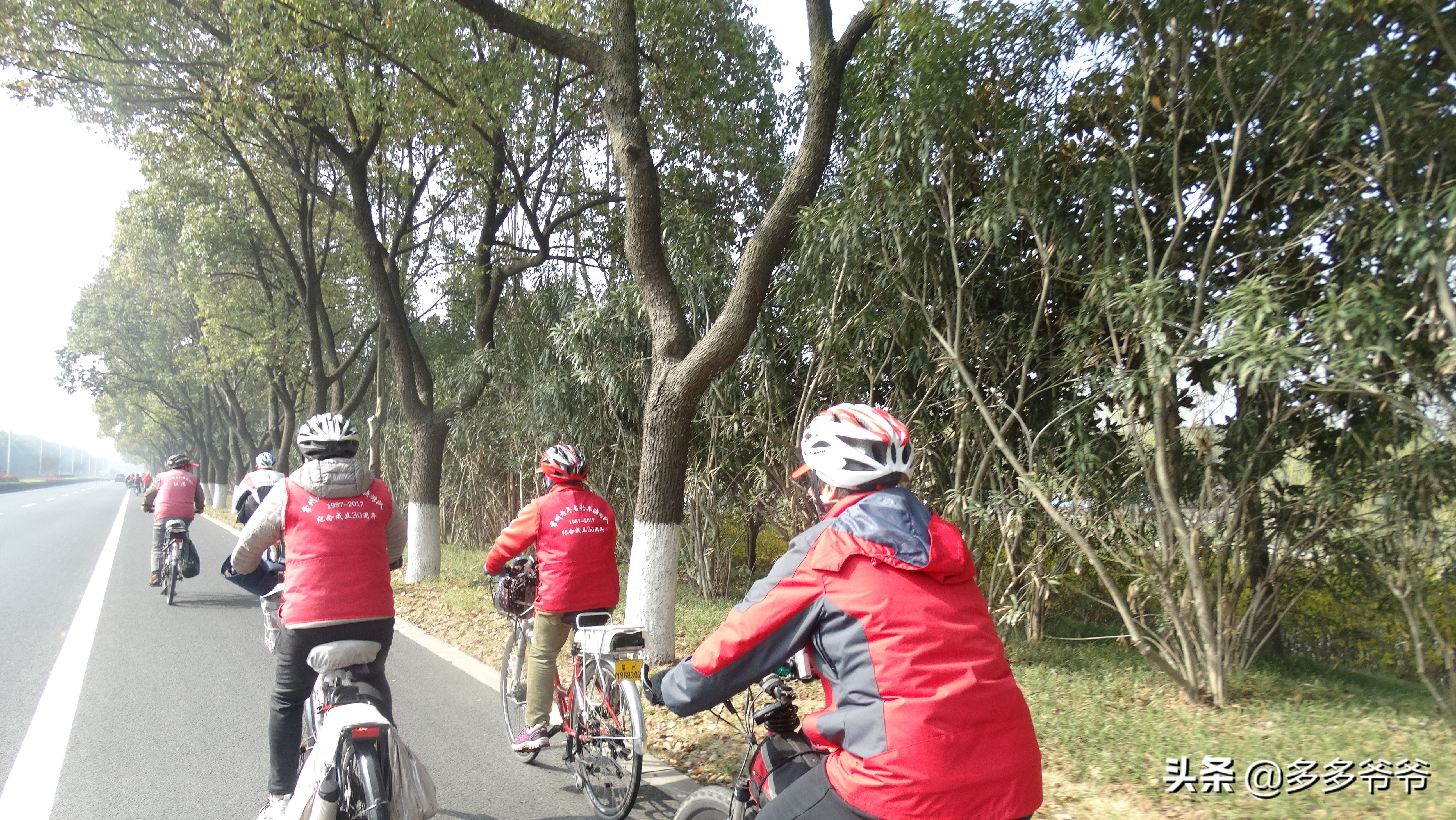 常州赏花的地方,常州附近5公里内公园免费景点