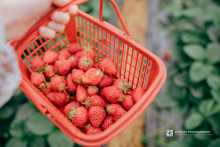 安藤忠雄建筑细节作品集,安藤忠雄代表作品介绍图文